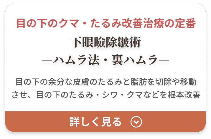 下眼瞼除皺術 ハムラ法・裏ハムラ